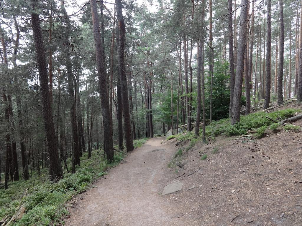 Landgasthof Jaegerstuebchen Neustadt an der Weinstrasse Bagian luar foto