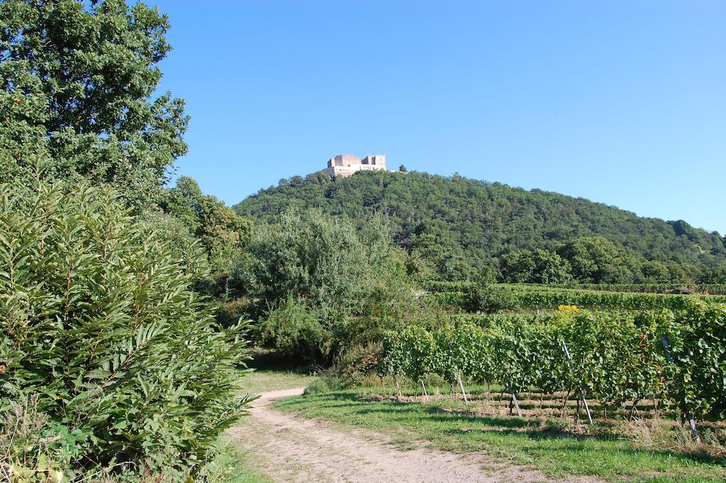 Landgasthof Jaegerstuebchen Neustadt an der Weinstrasse Bagian luar foto