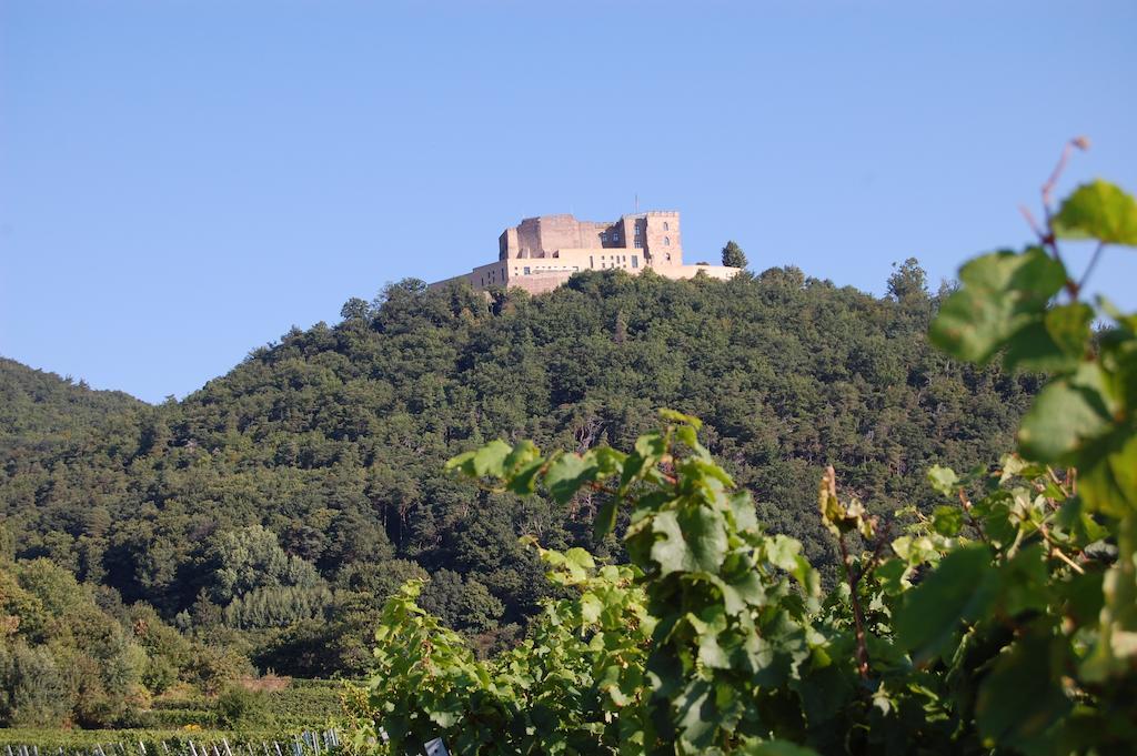 Landgasthof Jaegerstuebchen Neustadt an der Weinstrasse Bagian luar foto