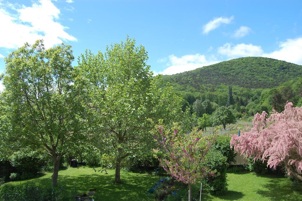 Landgasthof Jaegerstuebchen Neustadt an der Weinstrasse Bagian luar foto